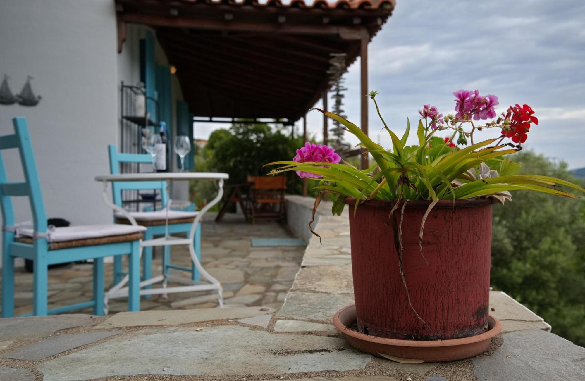 Limani Cottage Steni Vala Alonissos Buitenkant foto